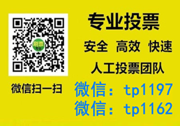 合肥市微信手动投票费多少钱让我告诉你微信投了多少