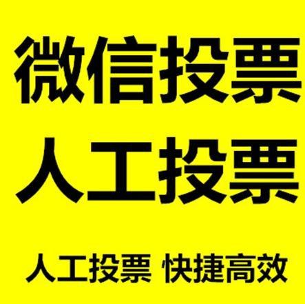 合肥市小程序微信拉票通过什么方式操作有哪些方法操作？